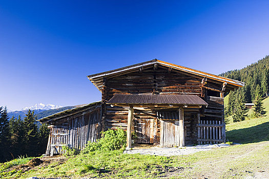 农舍,阿尔卑斯山,提洛尔,奥地利
