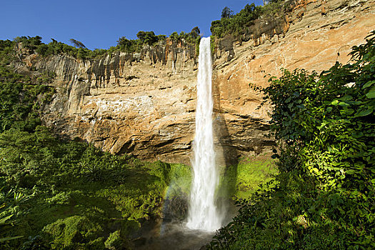 仰视,瀑布,国家公园,乌干达