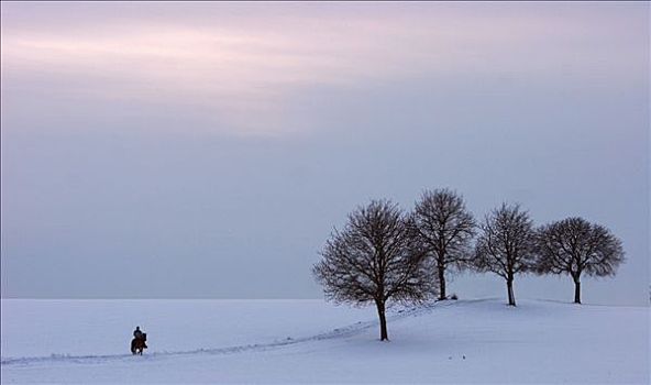 骑乘,雪地