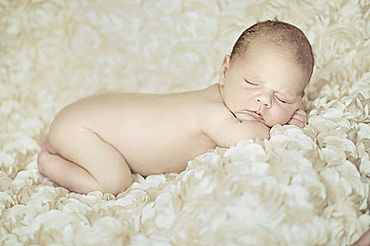 头像,婴儿,睡觉,白色背景,花瓣