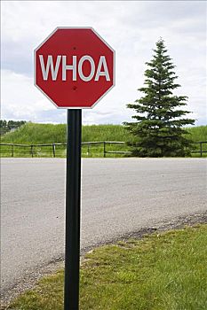 西部,停车标志,卡尔加里,艾伯塔省,加拿大