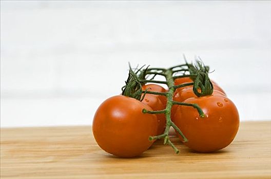 西红柿,藤