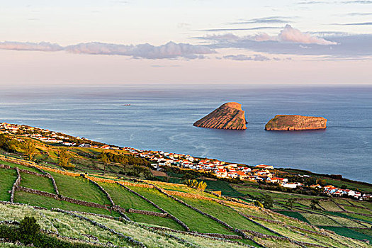 农田,火山岩,石墙,风景,日落,岛屿,亚速尔群岛,葡萄牙