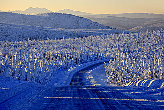 北美,美国,阿拉斯加,中心,公路,冬季风景