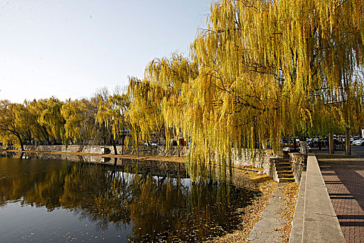 天津,天津大学