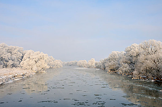 雪,冰,河,靠近,萨克森安哈尔特,德国,欧洲