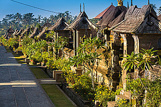 传统,巴厘岛,乡村,印度尼西亚