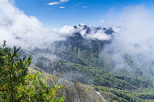 神农架林区天燕风景区初秋