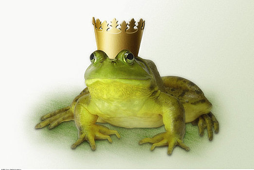 肖像,青蛙,穿,皇冠