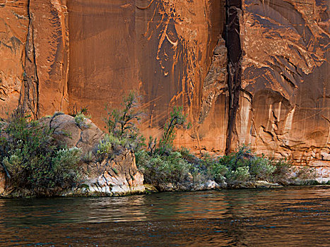 石头,悬崖,海岸线,科罗拉多河,亚利桑那,美国