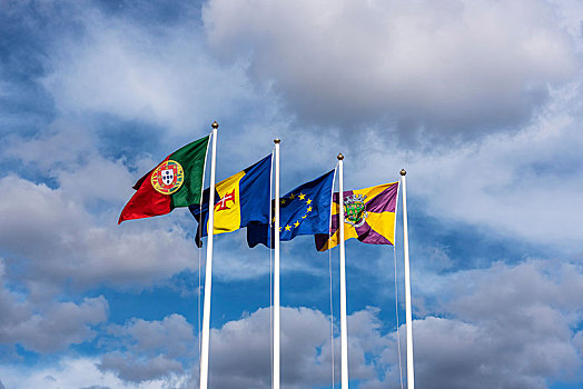 旗帜,葡萄牙,马德拉岛,丰沙尔,吹,风,欧洲