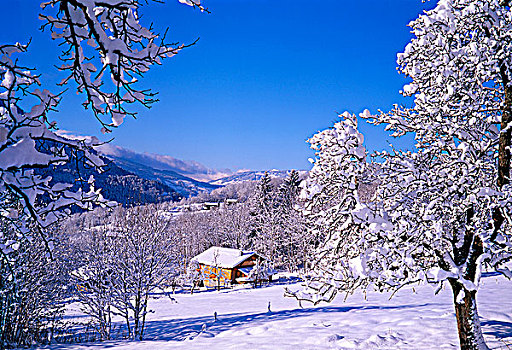 法国,上萨瓦,山,雪景,木制屋舍