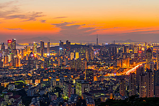 城市,夜景,天际线