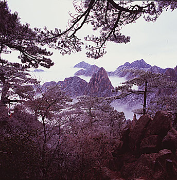 安徽,黄山,雪景,雾淞,云海,古松,九龙峰,北海宾馆,西海,天海,始信峰,日出