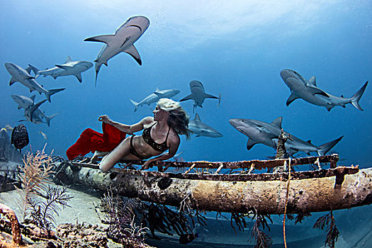 水下视角,女性,自由,跳水,比基尼,后视,礁石,鲨鱼,巴哈马