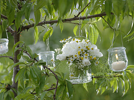白色,香草束,玻璃,小,灯笼,树上