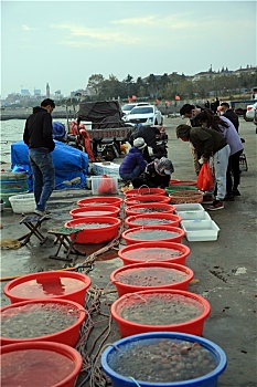 山东省日照市,渔码头海鲜市场人来人往,市民趁周末到渔港淘鲜