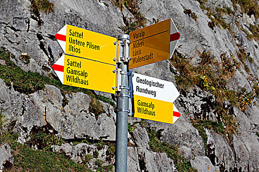 路标,山,地质,自然,小路,吐根堡,瑞士,欧洲