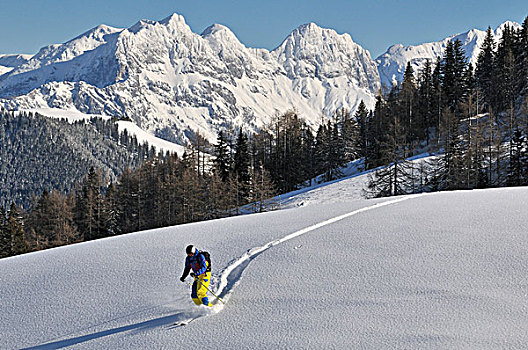 滑雪者,区域,巴伐利亚,德国,欧洲