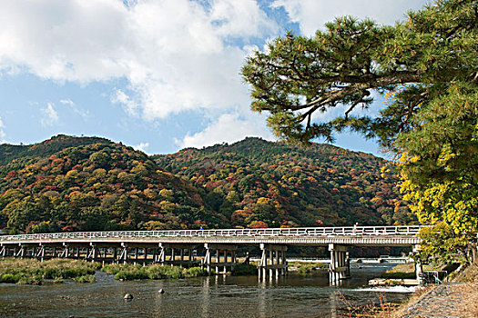 桥,河,岚山,京都,日本