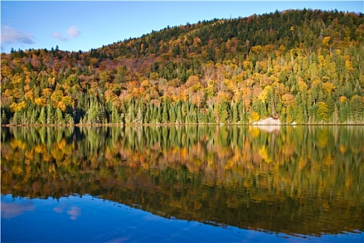 秋天,彩色,叶子,反射,湖