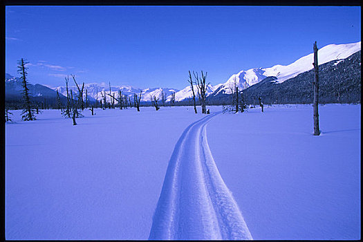 雪地车,轨迹,英里,河谷,楚加,冬天,景色
