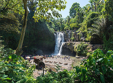 瀑布,巴厘岛,印度尼西亚,亚洲