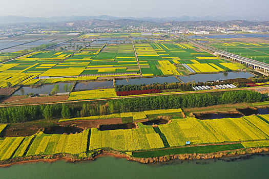 淮河,田园