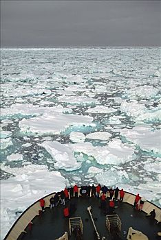 乘客,看,俄罗斯人,破冰船,海冰,罗斯海,南极