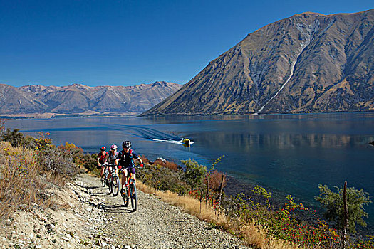 新西兰,南岛,坎特伯雷,麦肯齐山区,骑车,阿尔卑斯山,海洋,自行车,小路,湖