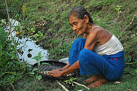 老太太,种族,洗,肌肤,蜗牛,孟加拉,八月,2008年