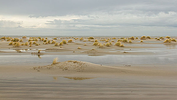 退潮,沙丘,阿默兰岛