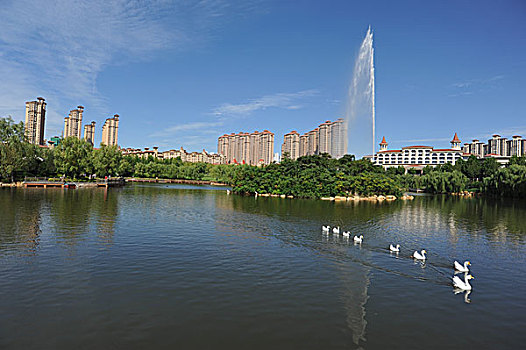 秦皇岛,秦皇半岛,天鹅湖,大楼,城市,建筑,风貌,海港区,住宅,绿地,森林,草坪,蓝天,白云