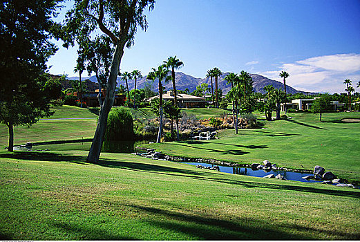 高尔夫球场,棕榈泉,加利福尼亚,美国