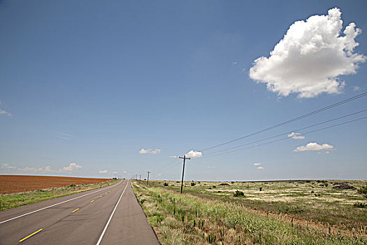 公路,乡村,德克萨斯,美国