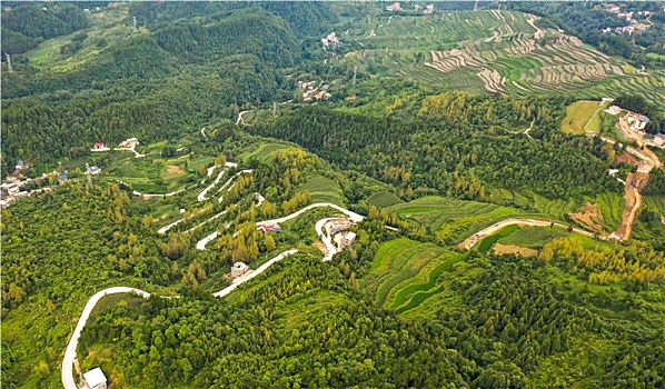 重庆酉阳,乡村公路秋意浓