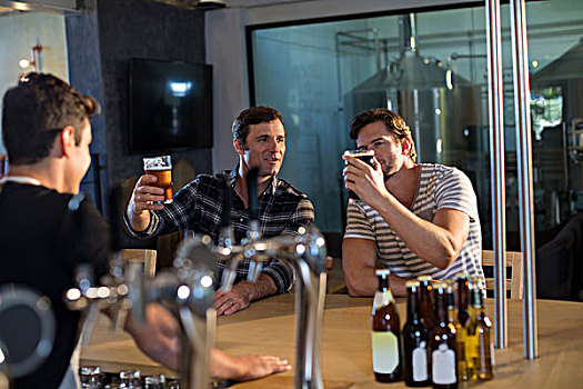 朋友,享受,啤酒,酒吧,白人,坐,吧台