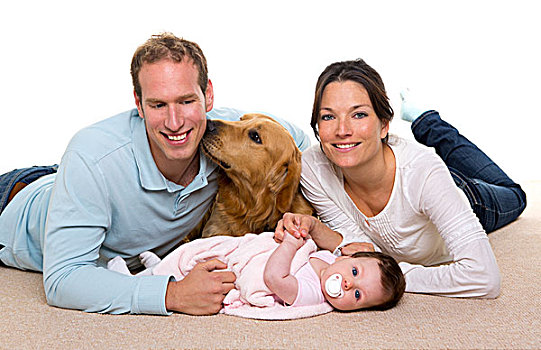 婴儿,母亲,父亲,幸福之家,金毛猎犬,狗,地毯