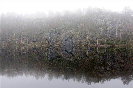 雾,湖,瑞典