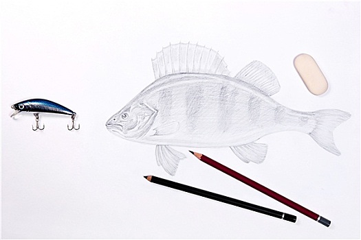 钓鱼,塑料制品,诱饵,绘画,鱼,石墨,铅笔,橡皮,白色背景
