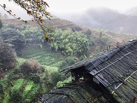 风景,湿,小屋,梯田