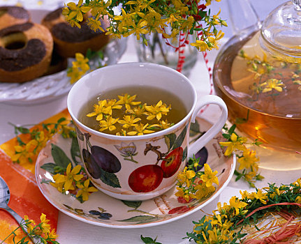 茶,金丝桃属植物