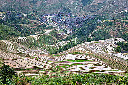 广西,桂林,龙脊,金坑,红瑶梯田,金佛顶