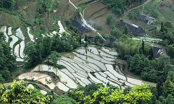 宜宾珙县鹿鸣茶山自然风光