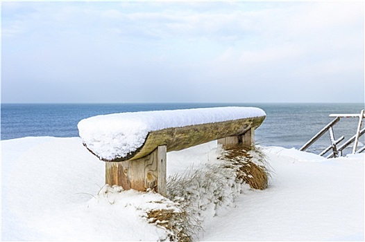 木制长椅,遮盖,雪,岸边,波罗的海