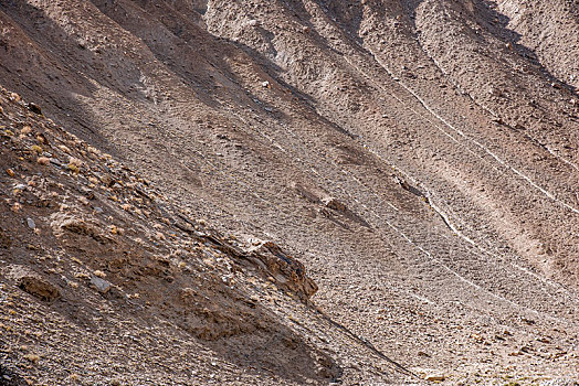 新疆帕米尔高原塔什库尔干河谷边坡上的沟堑