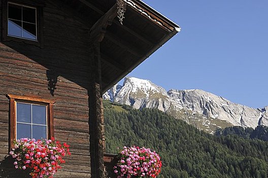 欧洲,奥地利,房子,欧洲阿尔卑斯山,背景