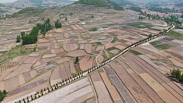 山东省日照市,航拍暮春里的广袤田野,五彩斑斓就像调色板