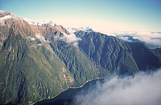 新西兰,峡湾,海岸,靠近,米尔福德峡湾,俯视