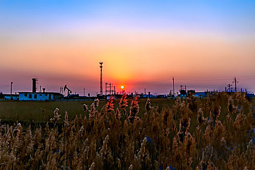 油田风采